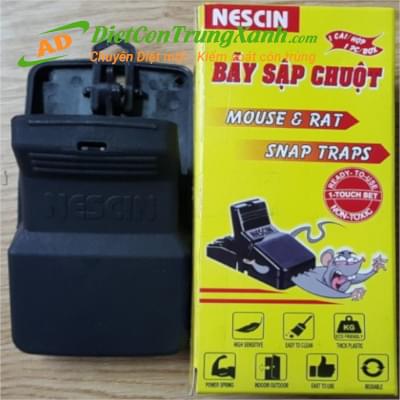 Bẫy chuột sập chuột Snap Traps