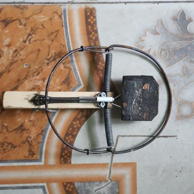 Bẫy chuột bán nguyệt