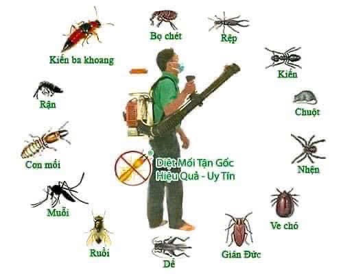 🆘 DỊCH VỤ PHUN MUỖI – PHÒNG CHỐNG SỐT SUẤT HUYẾT CỦA BỘ Y TẾ🆘 🌿 An toàn – Hiệu quả – Có mặt nhanh tại tất cả quận huyện Hà Nội! 📍 CAM KẾT: ✅ Sử dụng thuốc diệt muỗi nhập khẩu, được Bộ Y Tế cấp phép ✅ Không mùi, không độc hại, an toàn cho trẻ nhỏ và vật nuôi ✅ Diệt sạch muỗi và côn trùng trong vòng 30 phút ✅ Bảo hành 3-6 thang tùy gói dịch vụ📣📣📣 LH: 0️⃣8️⃣1️⃣5️⃣1️⃣1️⃣6️⃣7️⃣8️⃣9️⃣