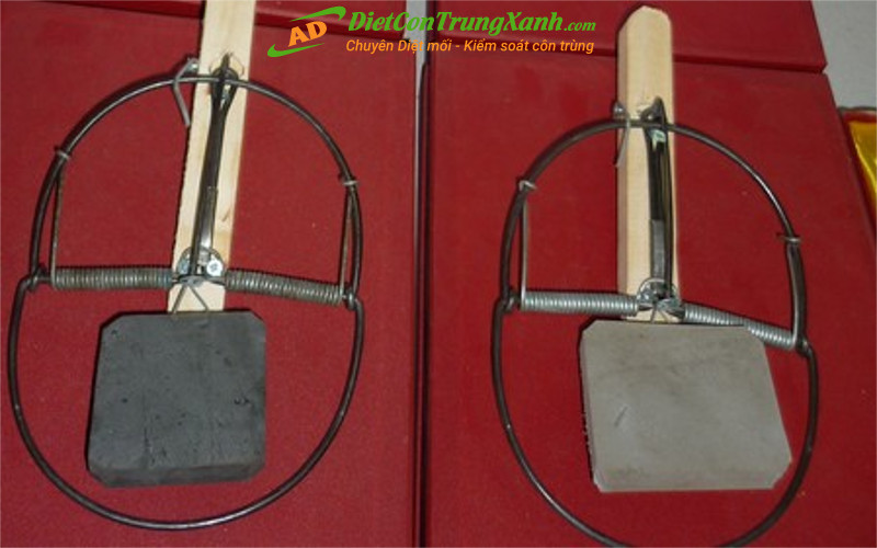 Bay-diet-chuot-ban-nguyet