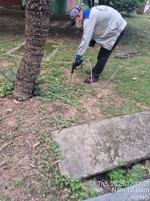 Phòng chống mối cây trồng