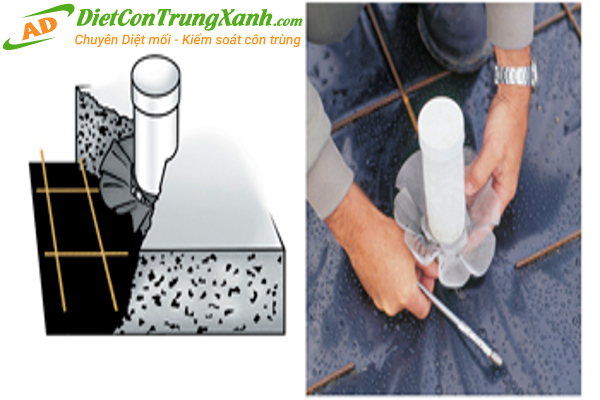 Chong-moi-cho-duong-ong-ky-thuat