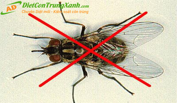 Thuoc-diet-ruoi