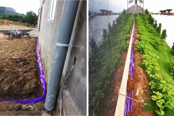 công nghệ phòng mối ALTIS