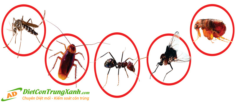 Thuoc-diet-muoi-fendona 10 SC