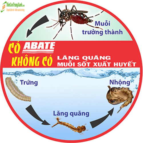 Thuoc-diet-lang-quang
