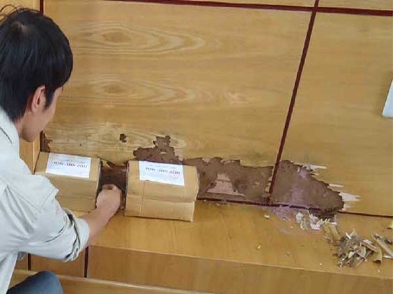 Meo-diet-moi-don-gian