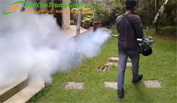 Phun-thuoc-diet-ruoi-khoi-nong