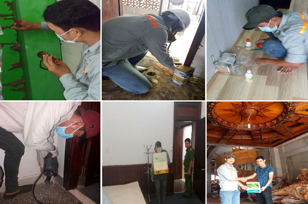 cac-loai-thuoc-diet-moi-dac-tri